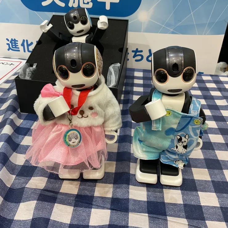 キャプション
