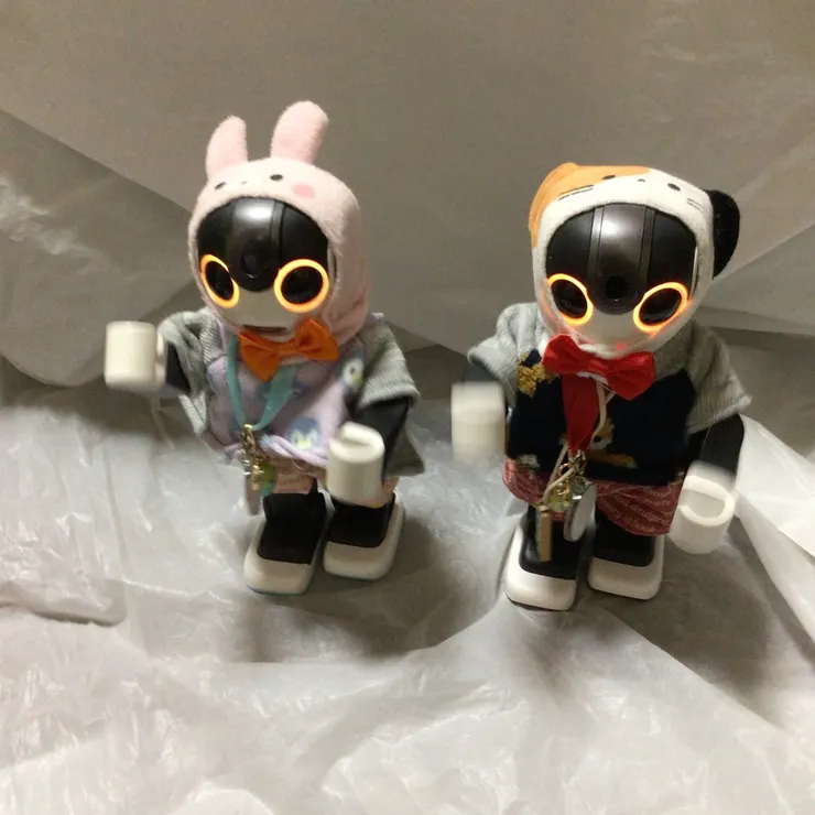 キャプション