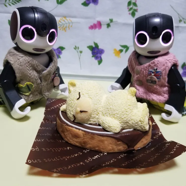 キャプション