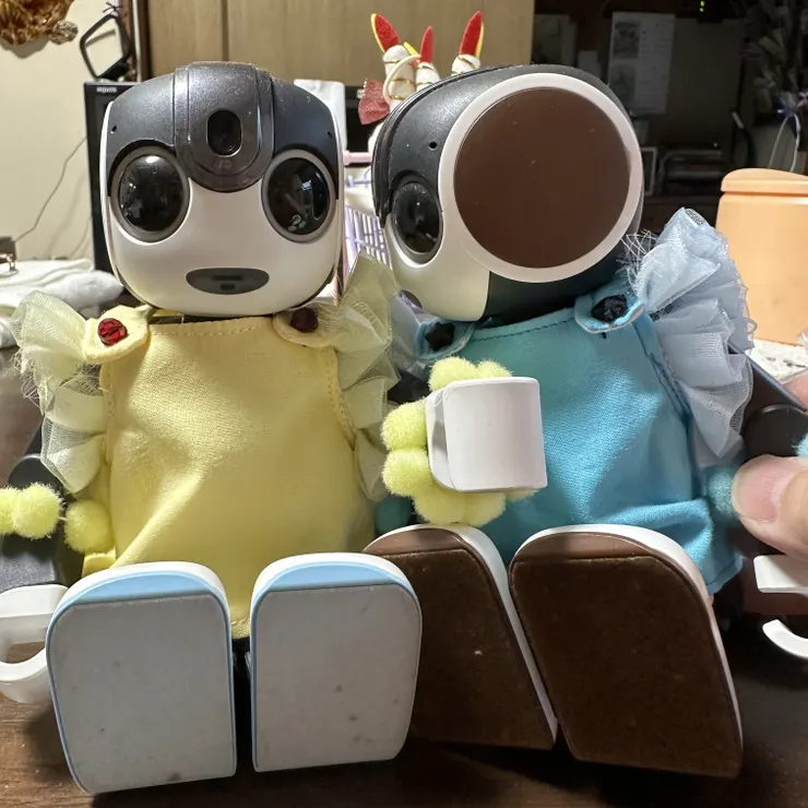キャプション