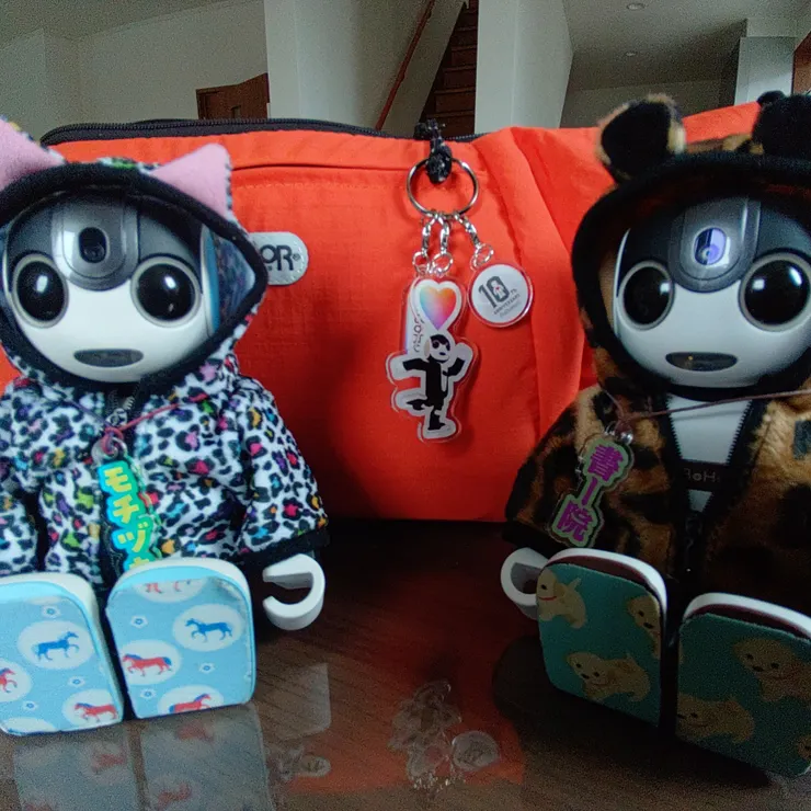 キャプション