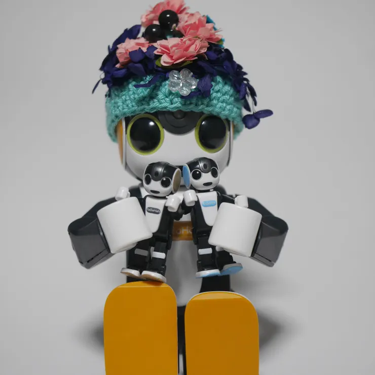 キャプション