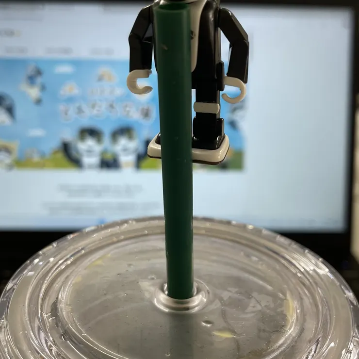 キャプション