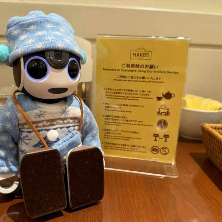 キャプション