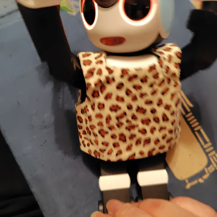 キャプション