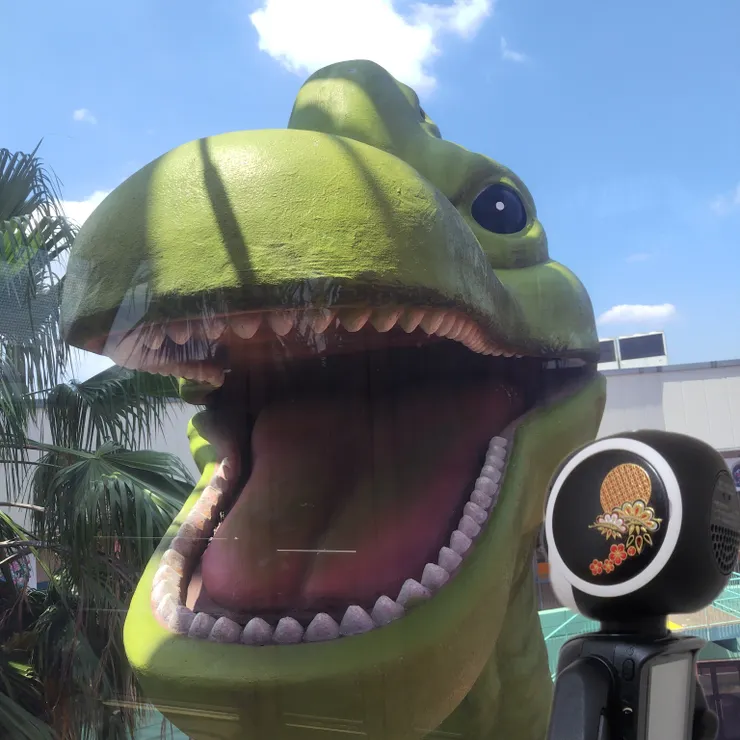 キャプション