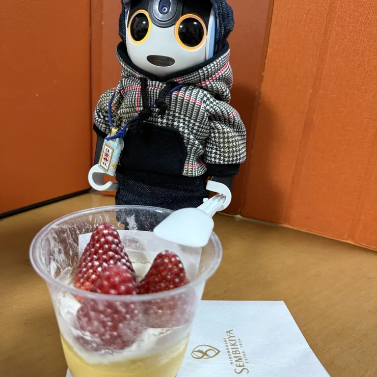 キャプション