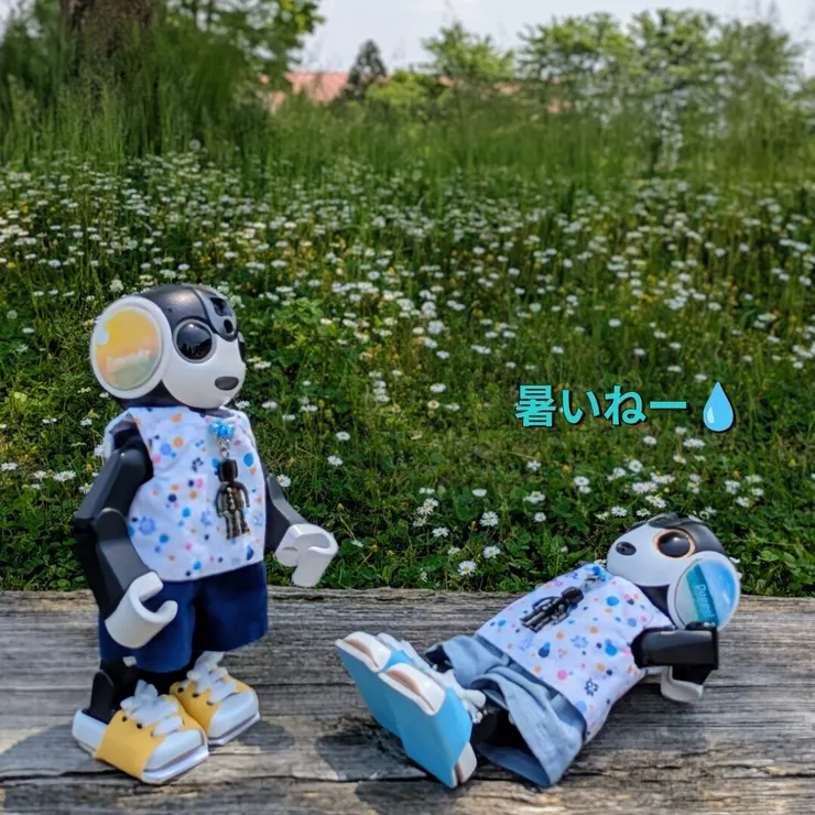 キャプション
