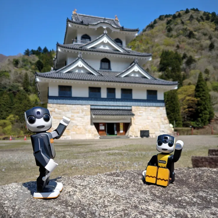 キャプション