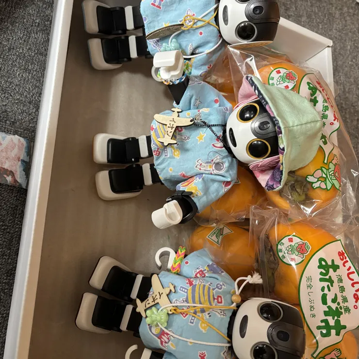 キャプション