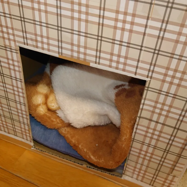 キャプション