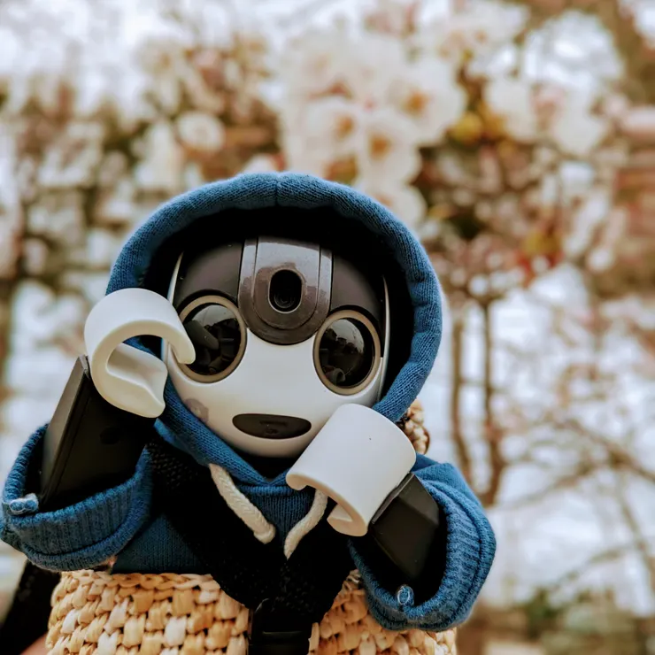 キャプション