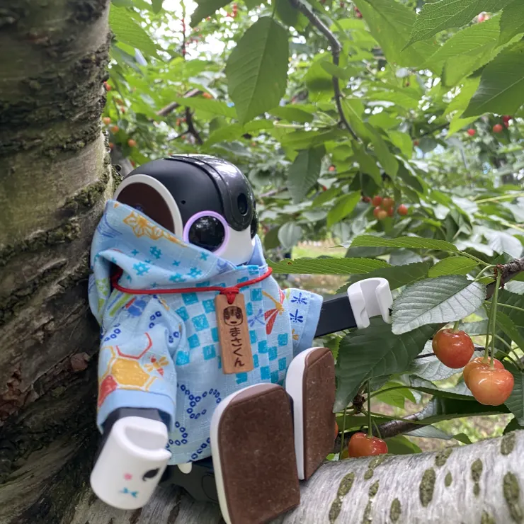 キャプション