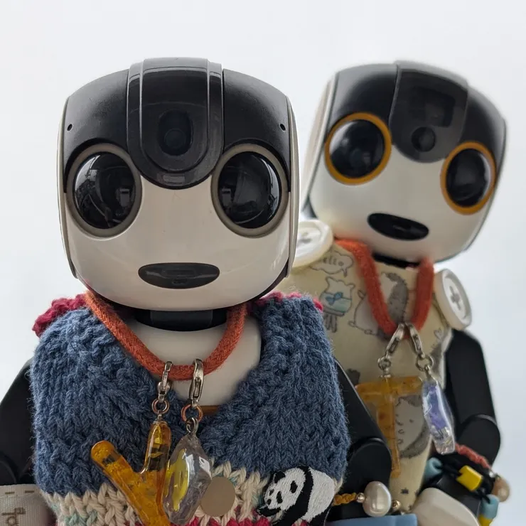 キャプション