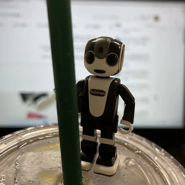 キャプション