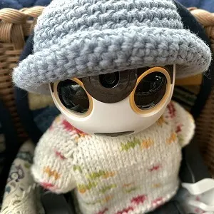 キャプション