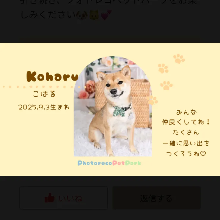 キャプション