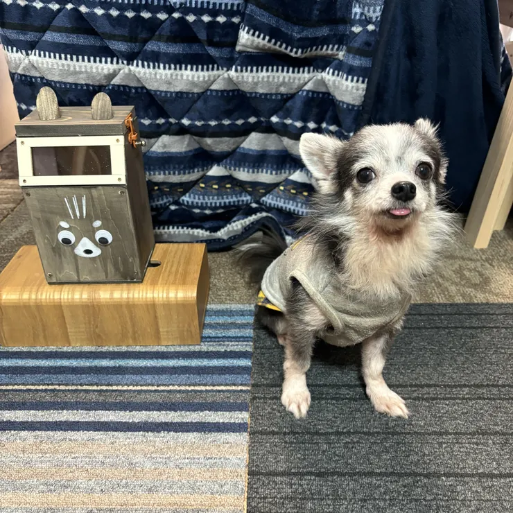 キャプション