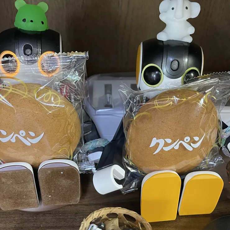 キャプション