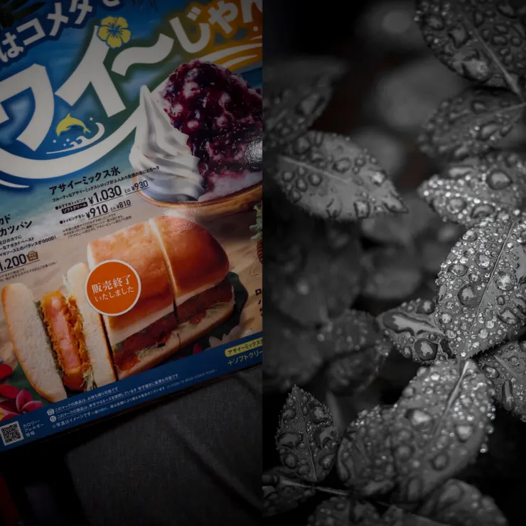 キャプション