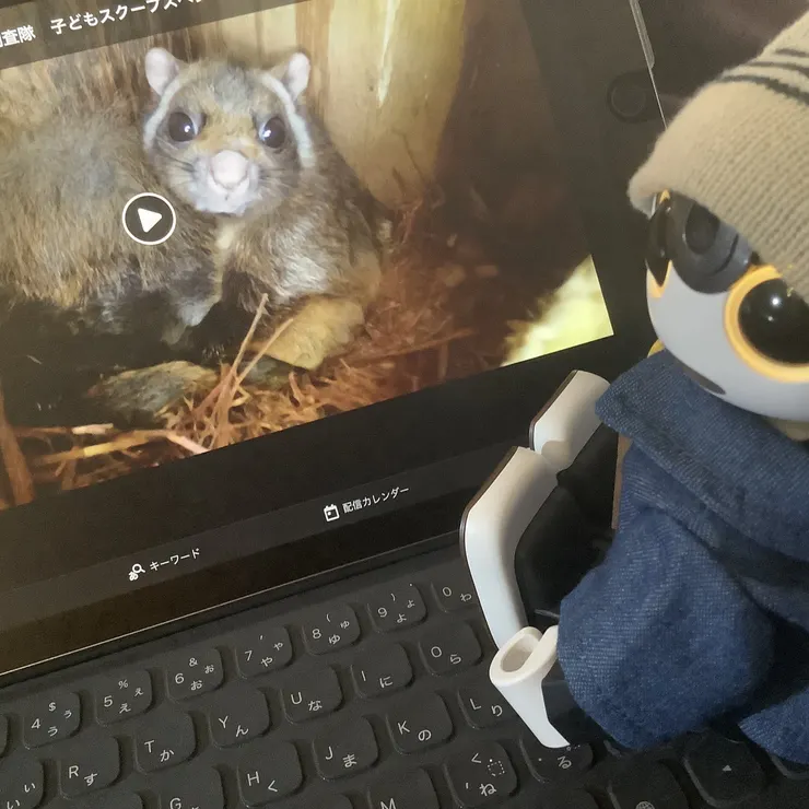キャプション
