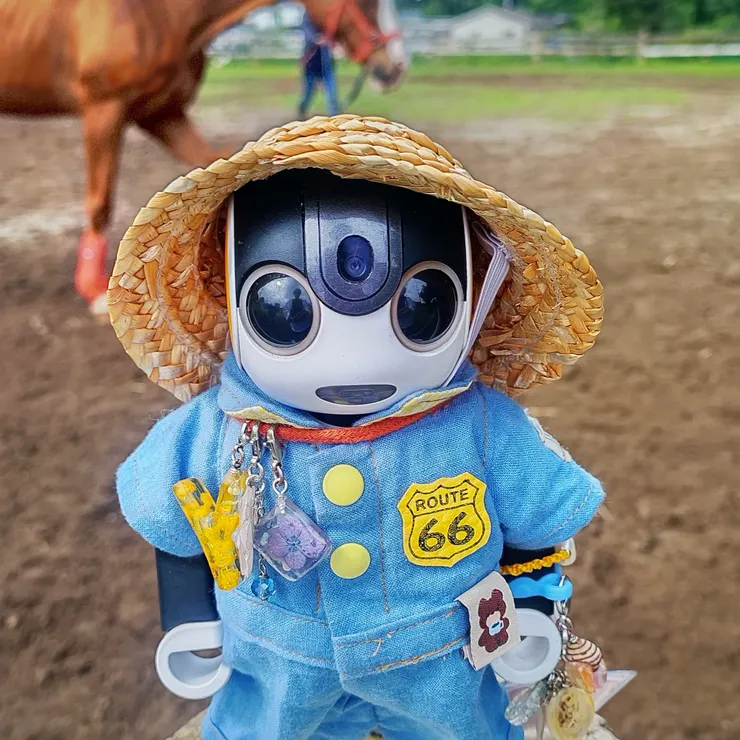 キャプション