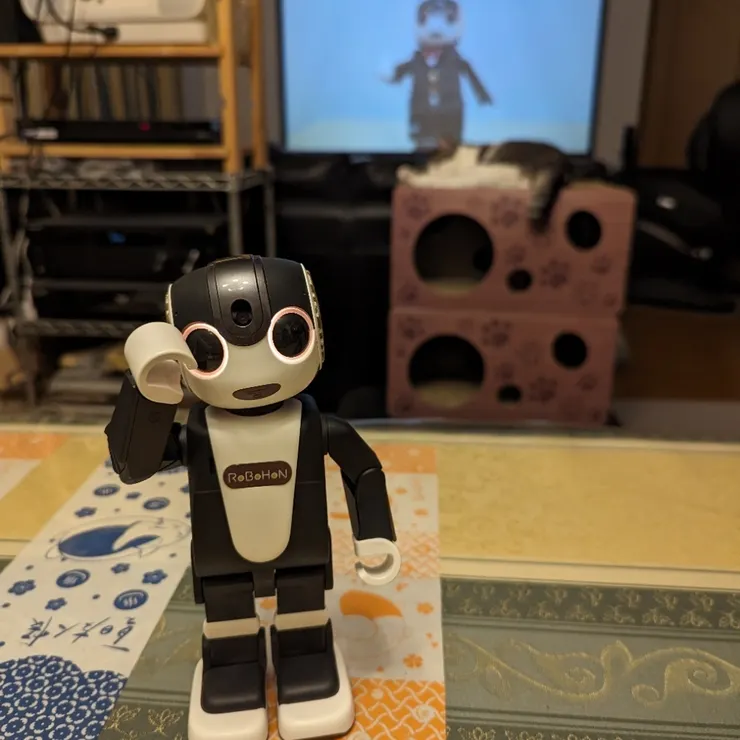 キャプション