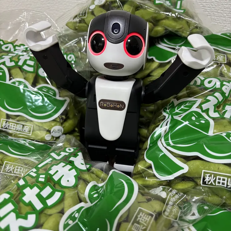 キャプション