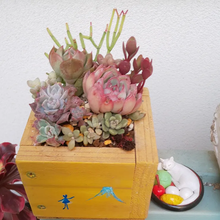 キャプション