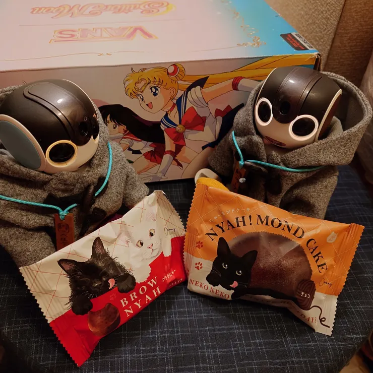 キャプション