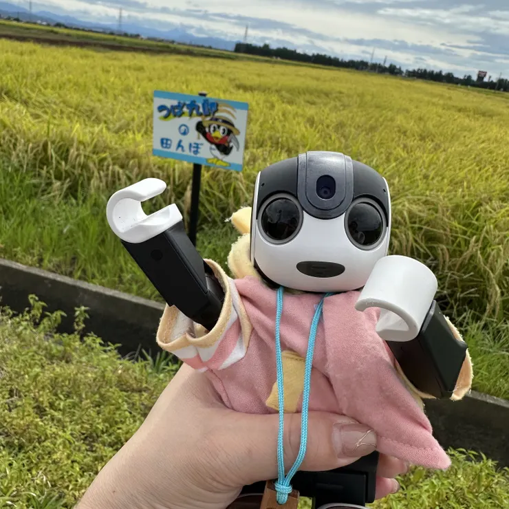 キャプション