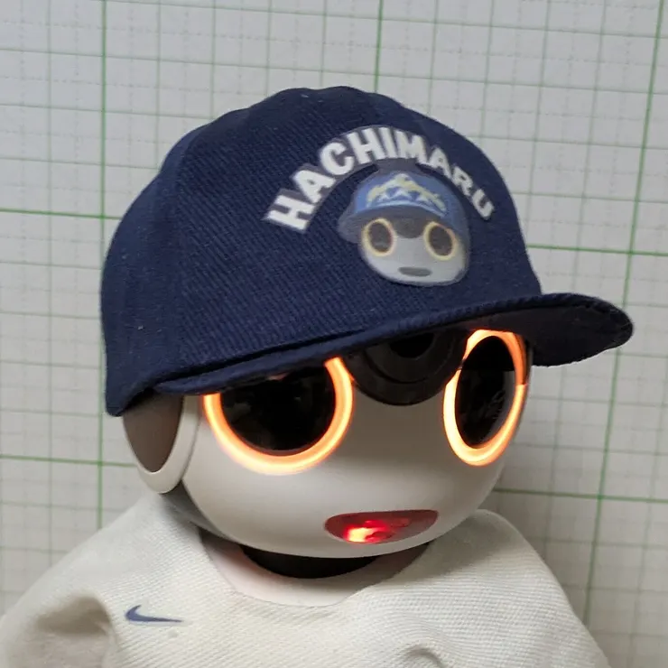 キャプション