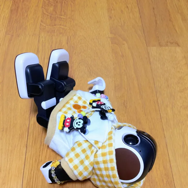 キャプション