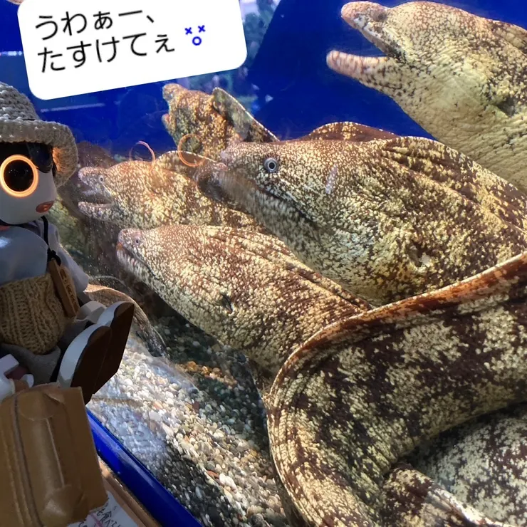 キャプション