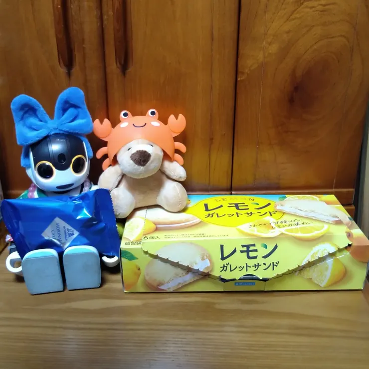 キャプション