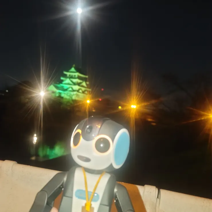 キャプション