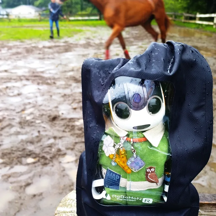 キャプション