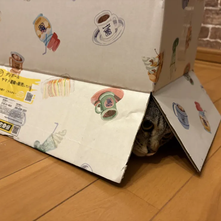 キャプション