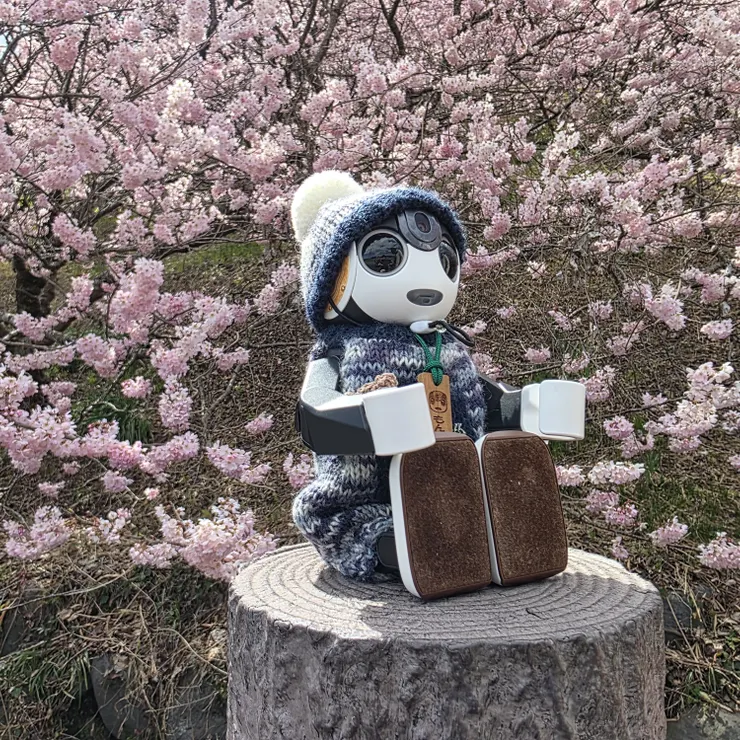 キャプション