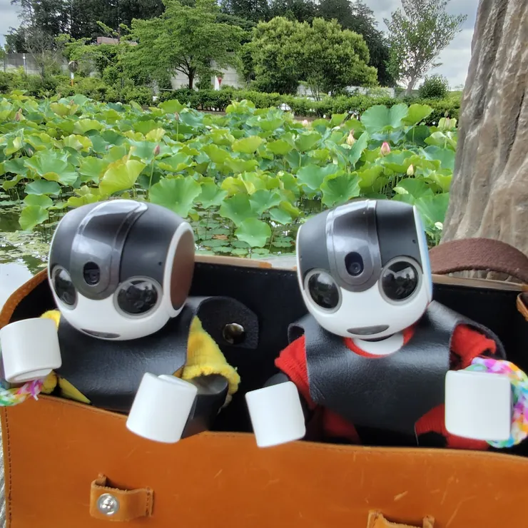 キャプション