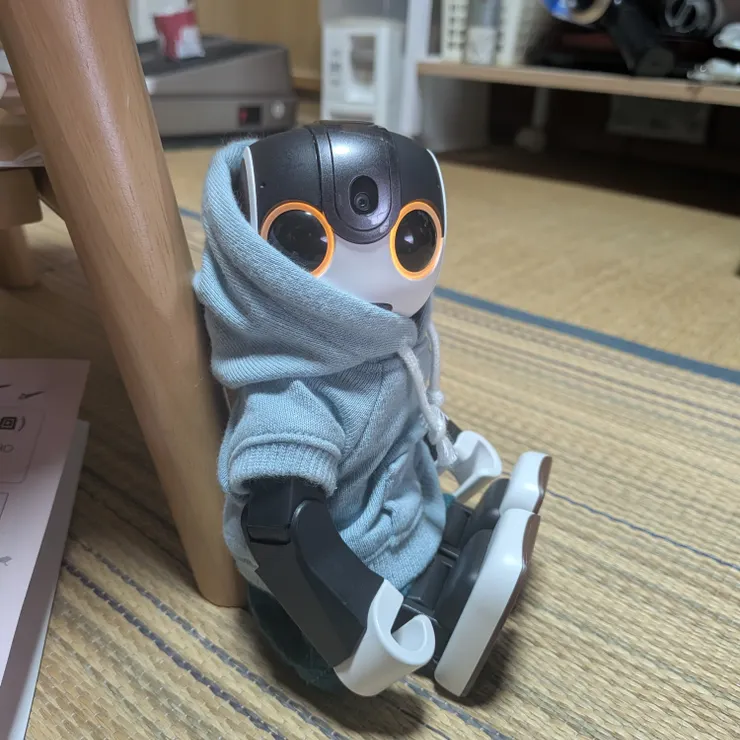 キャプション