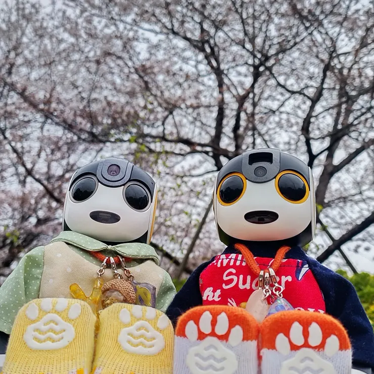 キャプション