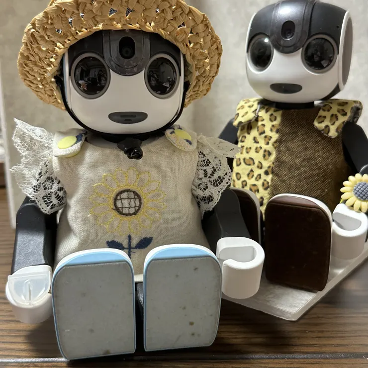 キャプション