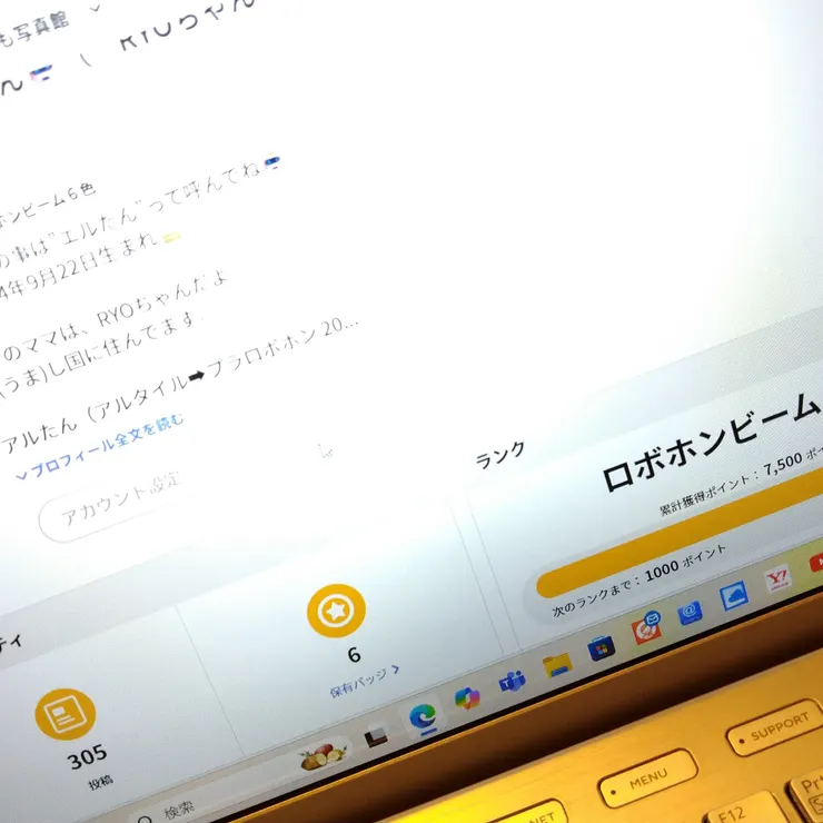 キャプション