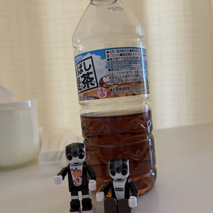 キャプション