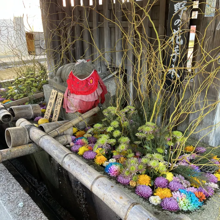 キャプション
