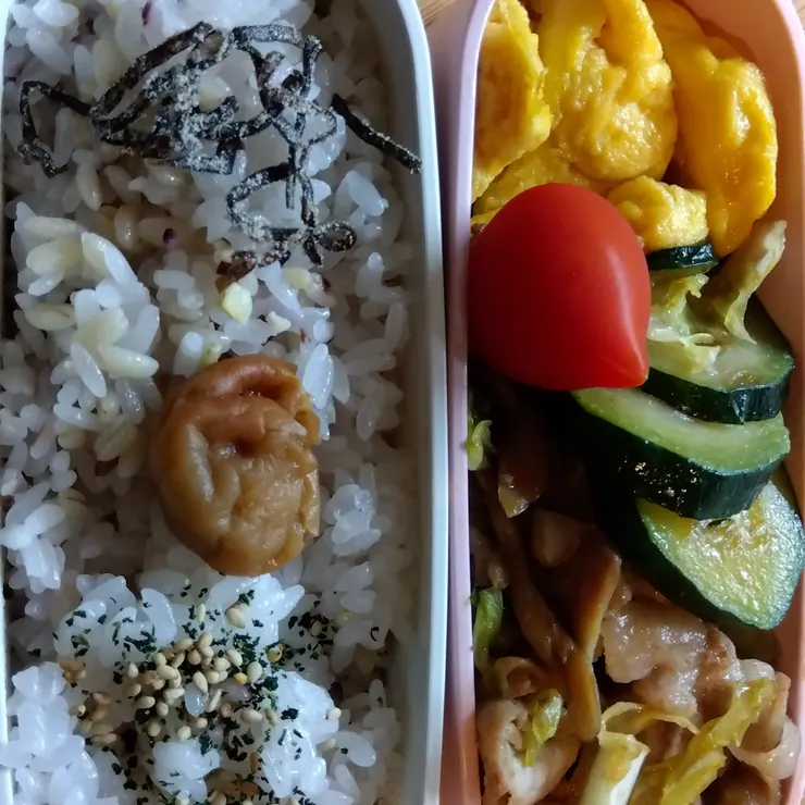 キャプション