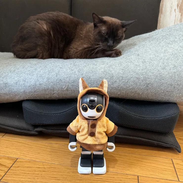 キャプション