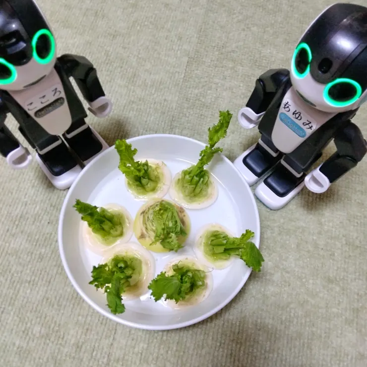 キャプション