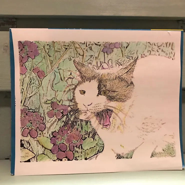 キャプション